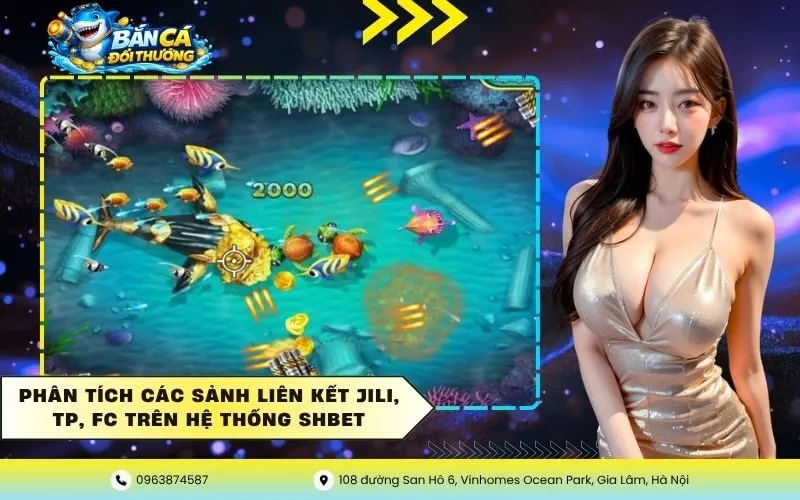 Phân tích các sảnh liên kết JILI, TP, FC trên hệ thống Shbet