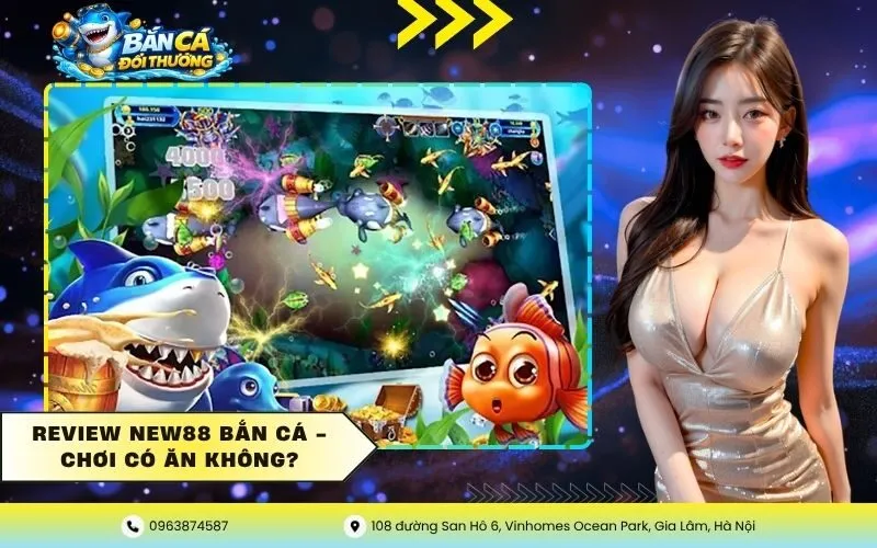 Review New88